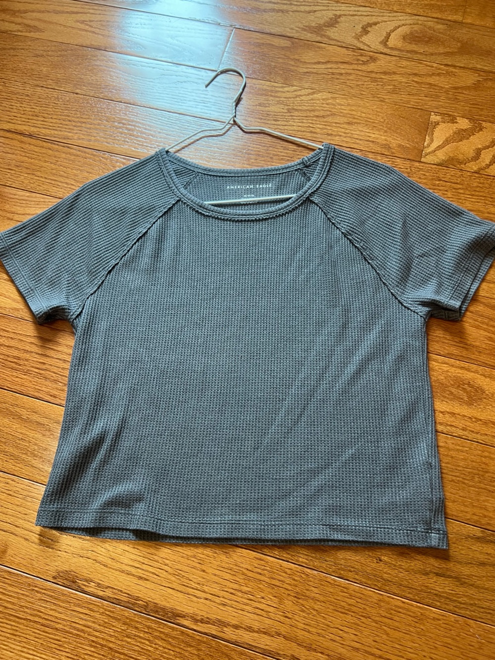 American Eagle Cropped Top